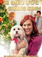 12 Điều Ước Giáng Sinh