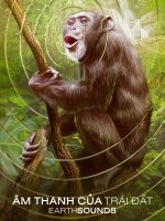 Âm Thanh Của Trái Đất – Earthsounds