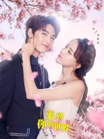 Bước Đến Thế Giới Của Em