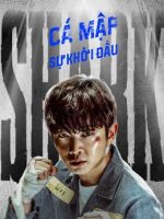 Cá Mập: Sự Khởi Đầu