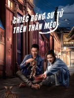 Chiếc Bóng Sư Tử Trên Thân Mèo
