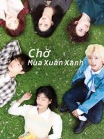 Chờ Mùa Xuân Xanh
