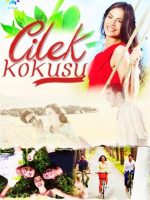 Cilek Kokusu