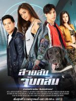 Điệp Viên Săn Mùi