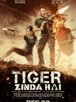 Điệp Viên Tiger 2