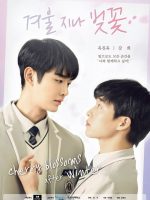 Hoa Anh Đào Cuối Đông
