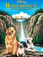 Homeward Bound: The Incredible Journey