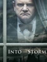 Into the Storm