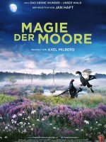 Magie der Moore