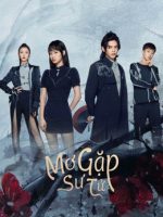 Mơ Gặp Sư Tử