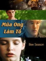 Mùa Ong Làm Tổ
