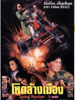 Nữ Sát Thủ Xinh Đẹp
