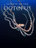 Secrets of the Octopus