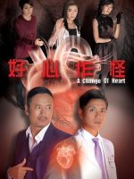 Trái Tim Hoàn Thiện
