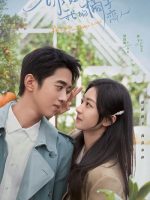 Xin Chào, Người Yêu Quất Tử Của Tôi