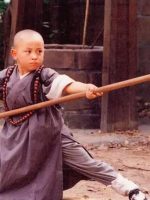 Thiếu Lâm Tiểu Tử (Tân Ô Long Viện)