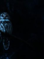 Ác Mộng Của Thiên Nhiên (Phần 1)