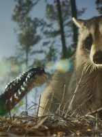 Ác Mộng Của Thiên Nhiên (Phần 2)