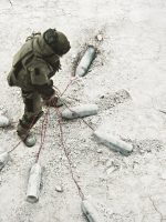 Chiến Dịch Sói Sa Mạc