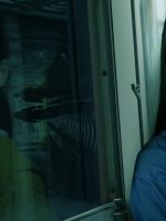 Nhà Ga Nuốt Người: Đăng Xuất