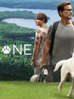 Chú Chó Mất Tích