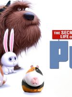 Đẳng Cấp Thú Cưng