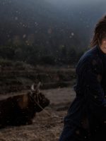 Lệnh Truy Nã Giang Hồ