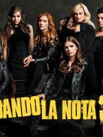 Sự Nổi Loạn Hoàn Hảo 3